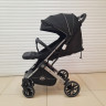 Коляска прогулочная Luxmom T9